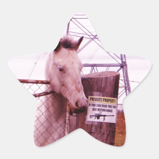 Private Property lavender Horse Ster Sticker (Voorkant)