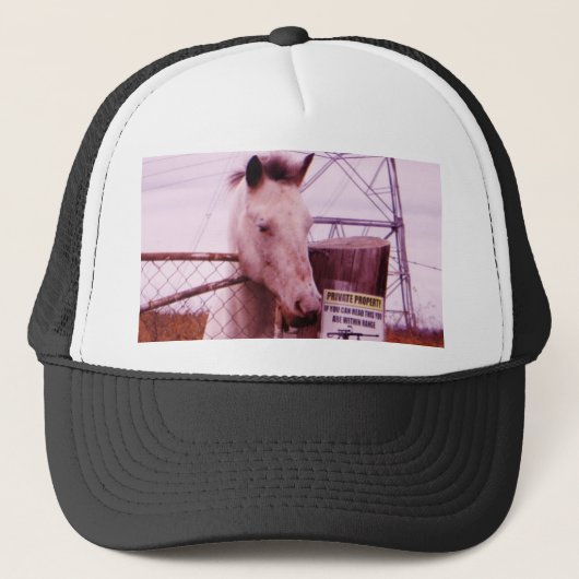Private Property lavender Horse Trucker Pet (Voorkant)