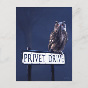Privé-dreef Briefkaart