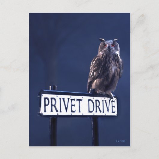 Privé-dreef Briefkaart (Voorkant)