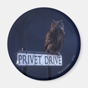 Privet Drive Magneet