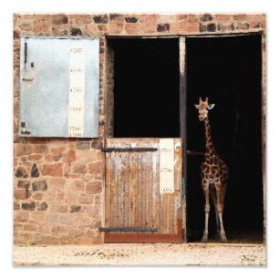 Priya Digital Art Print Foto Afdruk