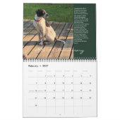 PRO 2025 Calendrier du 25e anniversaire (Feb 2027)
