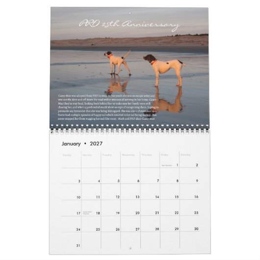 PRO 2025 Calendrier du 25e anniversaire (Jan 2027)