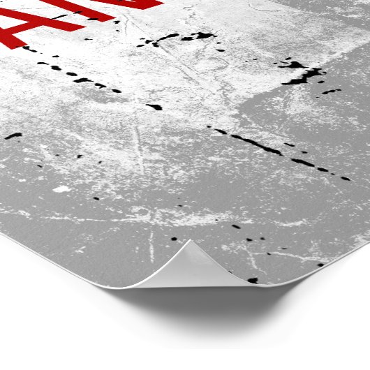 PRO-AMERIKAANSE ANTI-OBAMA POSTER (Hoek)