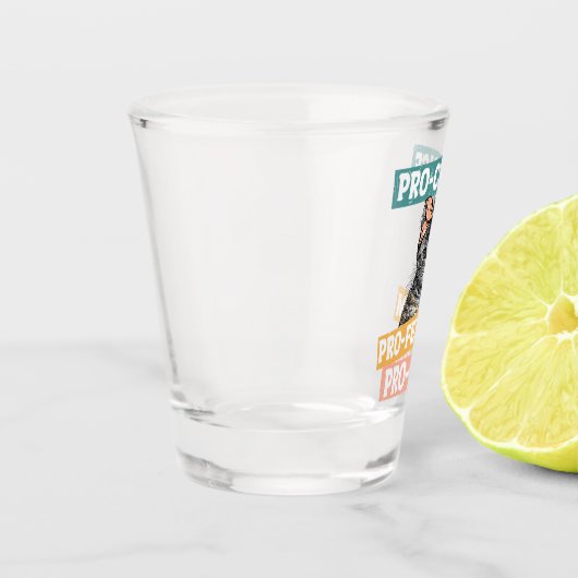 Pro-Choice, Pro-feminisme, Pro-Cat | Kat Lover Shot Glas (Links)