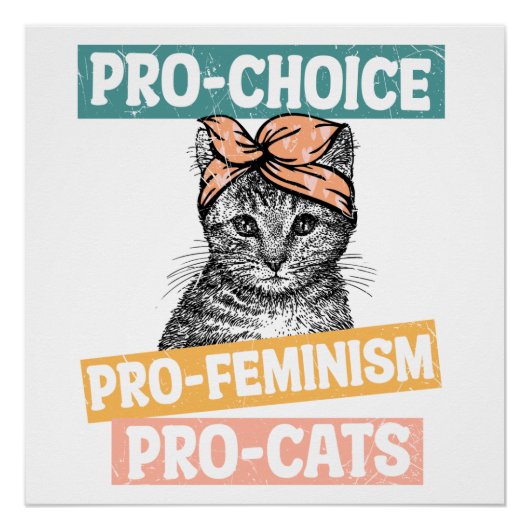 Pro Choice Pro Feminisme Pro Cats Perfect Poster (Voorkant)