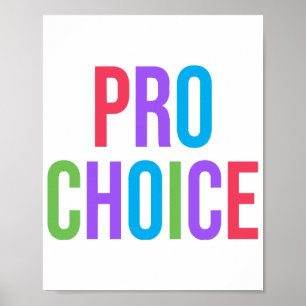 Pro-Choice Roe/Wade Feminist Women's Rights Poster