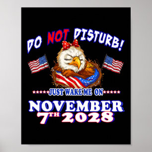 Pro Democratie Vierde Juli 4e Sarcastische Verkiez Poster