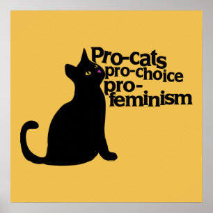 pro-keuzevrijheid pro-feminisme poster
