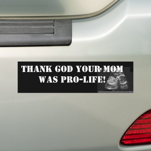 PRO-LIFE BUMPERSTICKER (Op auto)
