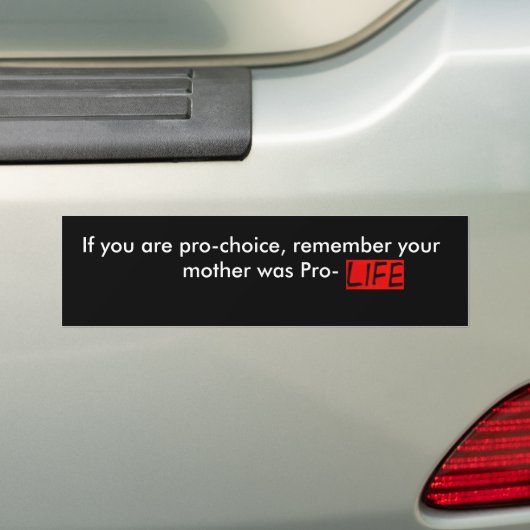 PRO-LIFE BUMPERSTICKER (Op auto)