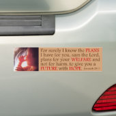 Pro Life Message - Jeremiah 29:11 Bumpersticker (Op auto)