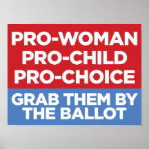 Pro-Woman Pro-Child Poster van het Venster 16x12