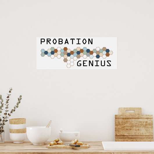 Probation Genius Poster (Keuken)