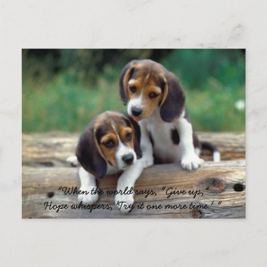 Probeer het één meer tijd… briefkaart (Voorkant)