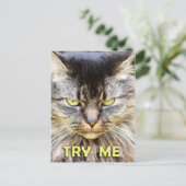 Probeer me! briefkaart (Staand voorkant)