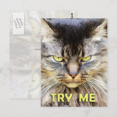 Probeer me! briefkaart (Voorkant / Achterkant)