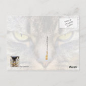 Probeer me! briefkaart (Achterkant)
