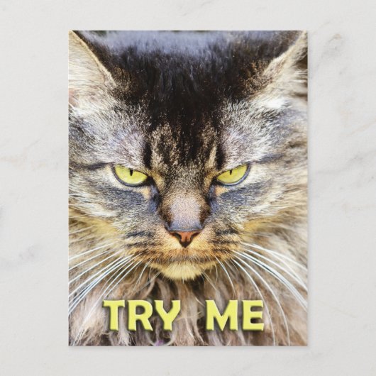 Probeer me! briefkaart (Voorkant)
