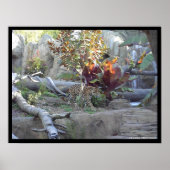 Proberen Poster (Voorkant)