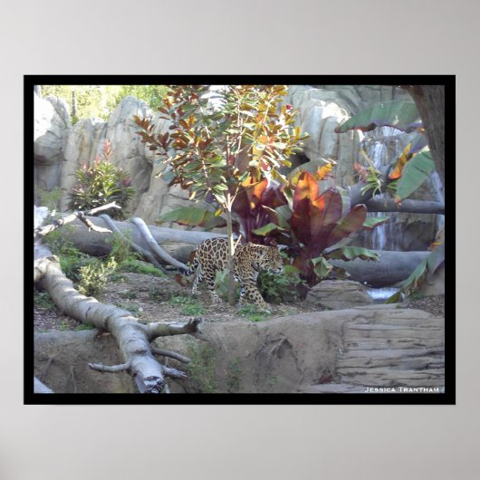 Proberen Poster (Voorkant)