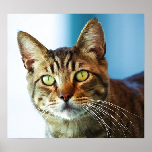 Problemen Poster (Voorkant)