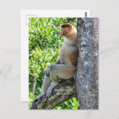 Proboscis Monkey Briefkaart (Voorkant / Achterkant)