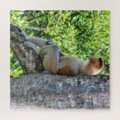 Proboscis Monkey Legpuzzel (Horizontaal)