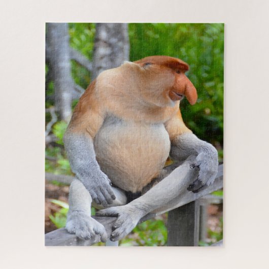 Proboscis Monkey. Legpuzzel (Verticaal)