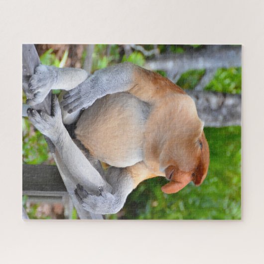 Proboscis Monkey. Legpuzzel (Horizontaal)