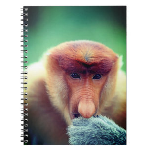 Proboscis Monkey op Borneo. Notitieboek