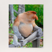Proboscis Singe. Jigsaw Puzzle (Vertical)