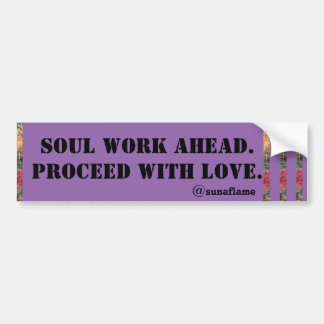 PROCES MET VERLIES BUMPERSTICKER