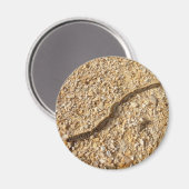 Processionaire pijlers Magnet Magneet (Voorkant / Achterkant)
