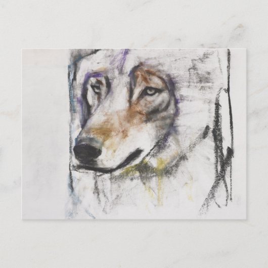 Processo Al Lupo Briefkaart (Voorkant)