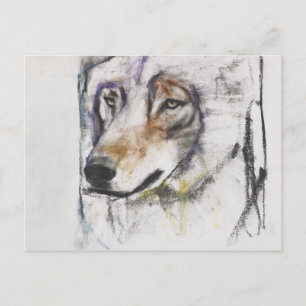 Processo Al Lupo Briefkaart