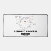 Processus aérobie à l'intérieur du cycle des Krebs (Recto)