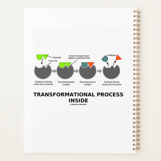 Processus transformationnel à l'intérieur du sous- (Dos)