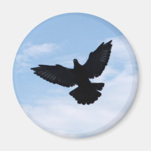 Prochain aimant à la maison de pigeon voyageur