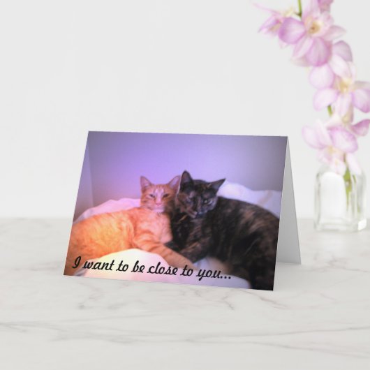 Proche de votre carte de voeux (Orchidée)