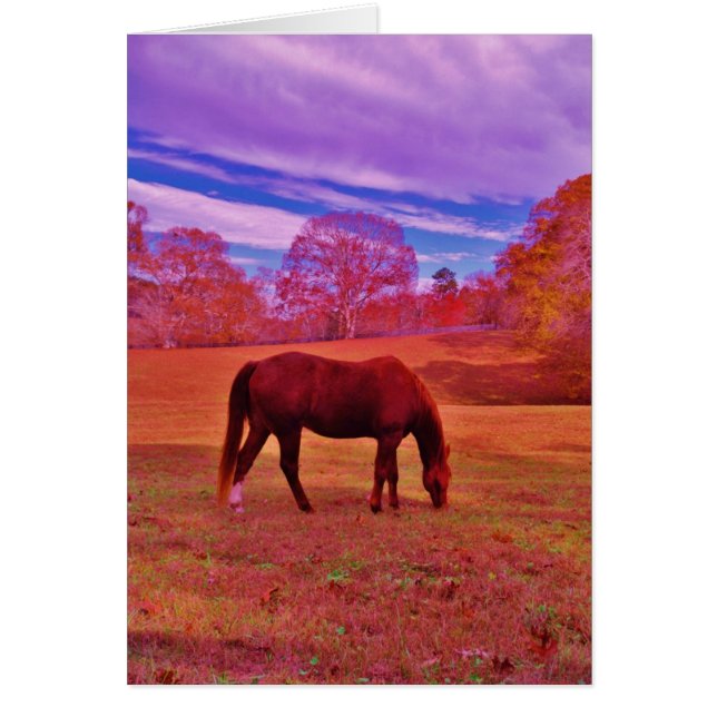 Product aanpassen (Voorkant)