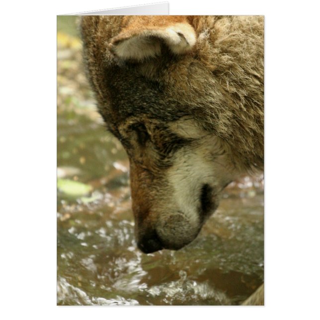 Product aanpassen (Voorkant)