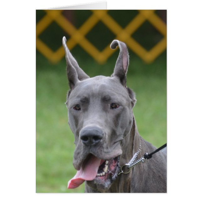 Product aanpassen (Voorkant)