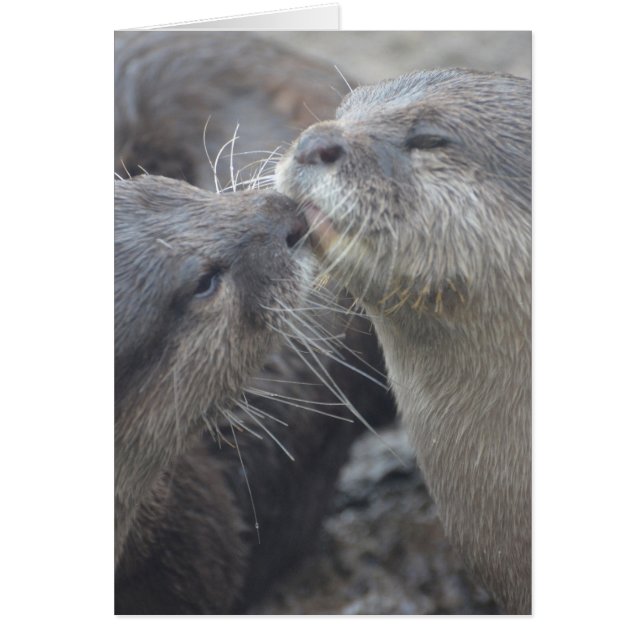 Product aanpassen (Voorkant)