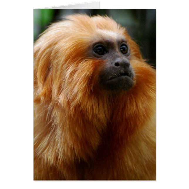 Product aanpassen (Voorkant)