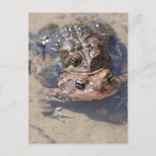 Product aanpassen briefkaart