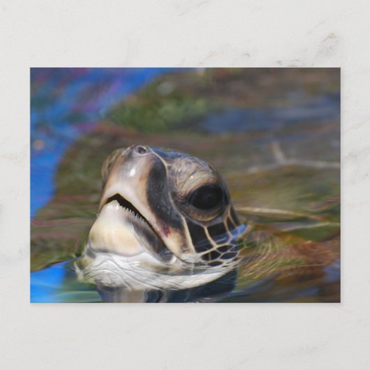 Product aanpassen briefkaart (Voorkant)