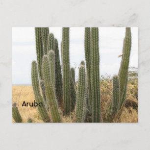 Product aanpassen briefkaart