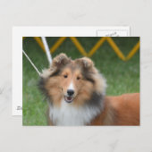 Product aanpassen briefkaart (Voorkant / Achterkant)